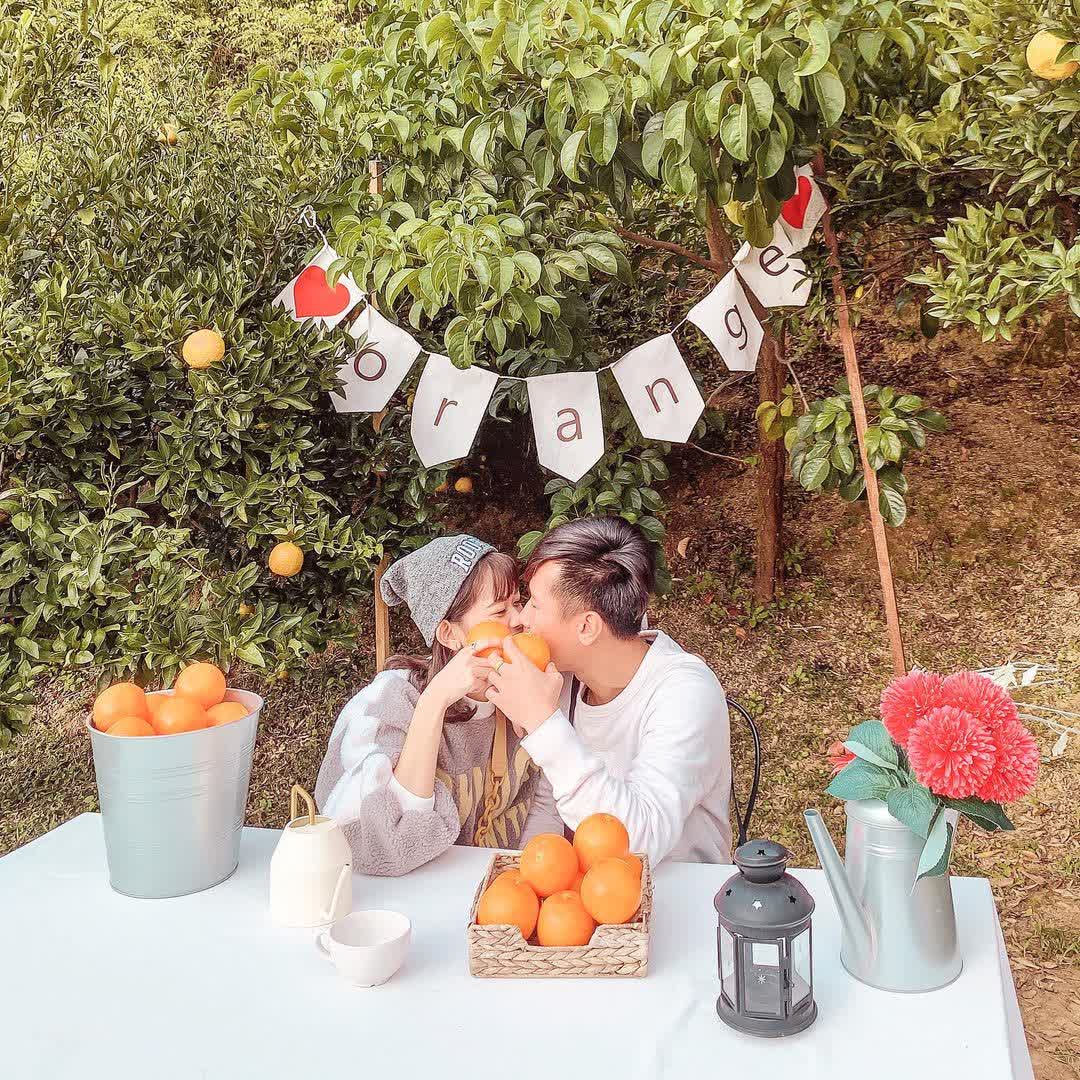 橙香森林 | 去趣 chicTrip