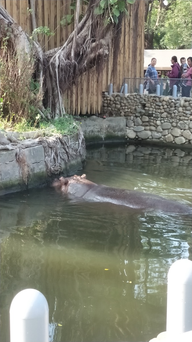 新竹市立動物園 | 去趣 chicTrip