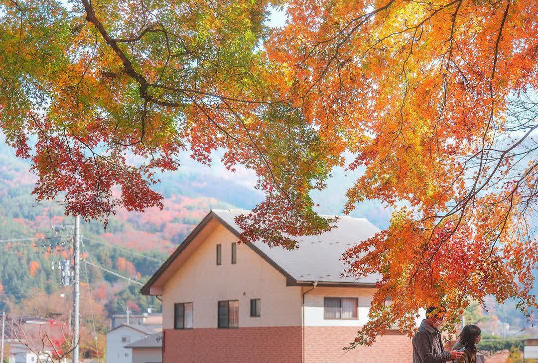 河口湖楓葉迴廊 | 去趣 chicTrip