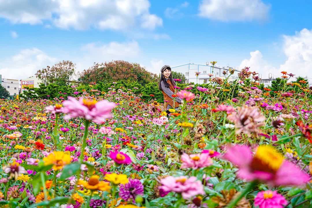 田尾公路花園 | 去趣 chicTrip