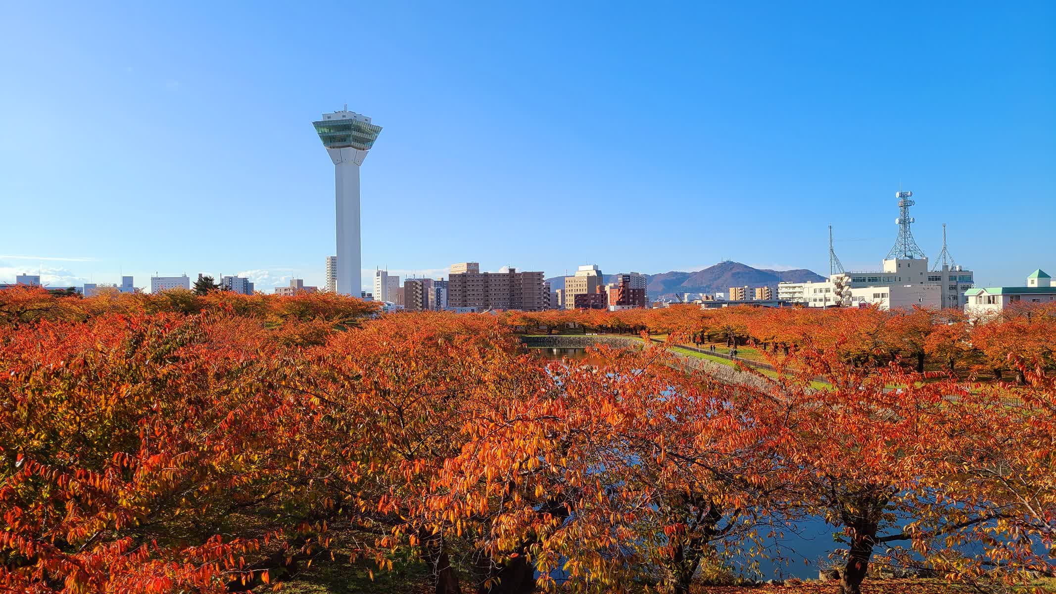 五稜郭公園 | 去趣 chicTrip