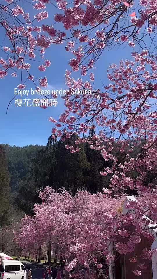 武陵農場 | 去趣 chicTrip