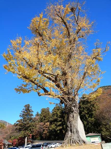 梵魚寺 | 去趣 chicTrip