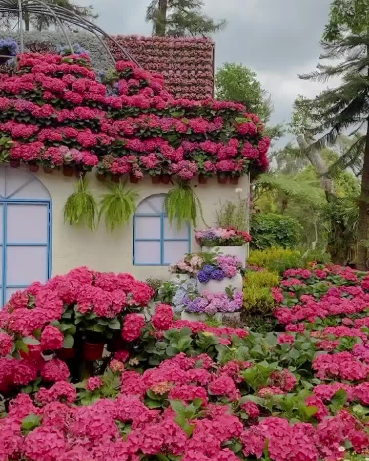 花露農場 Flower Home | 去趣 chicTrip