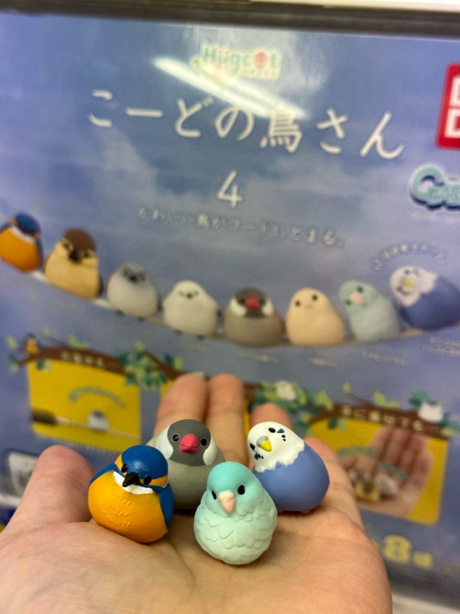 Gacha-gacha no Mori | 去趣 chicTrip