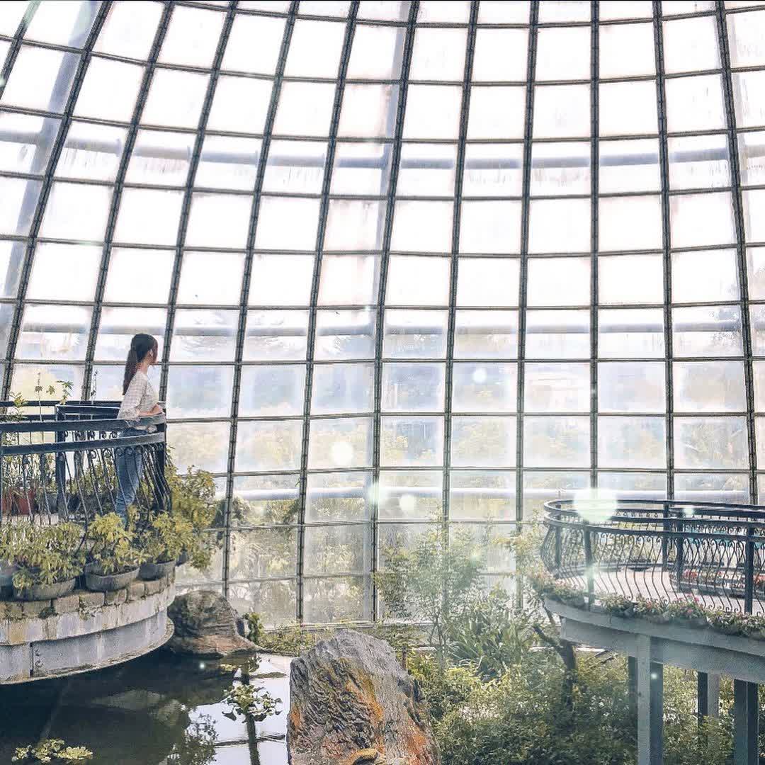 嘉大昆蟲館 | 去趣 chicTrip