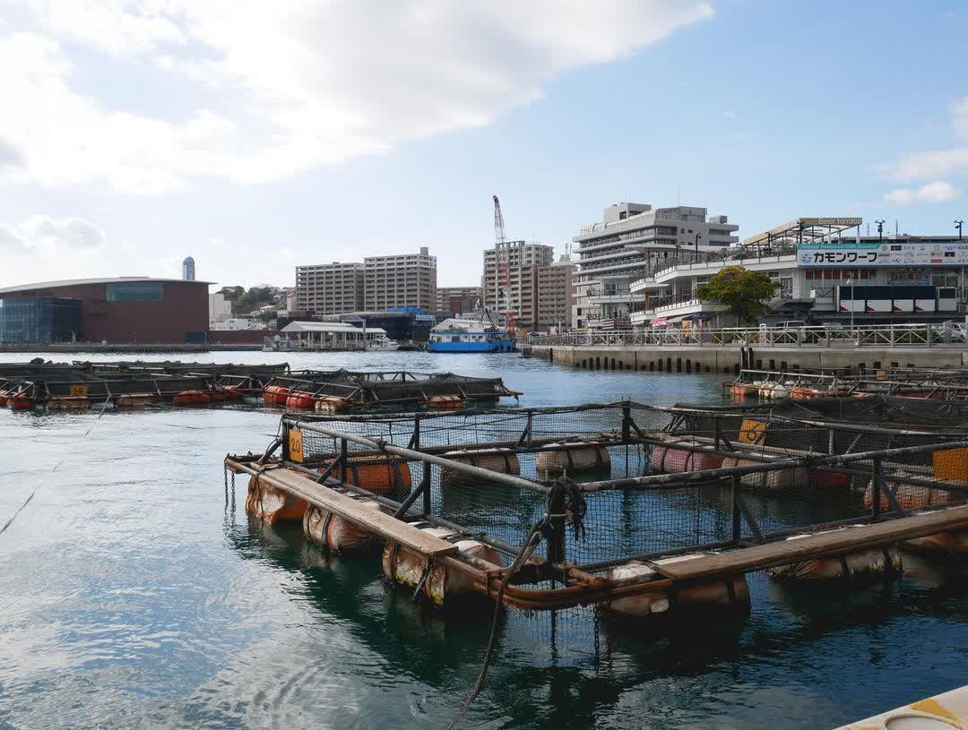 唐戶市場 | 去趣 chicTrip