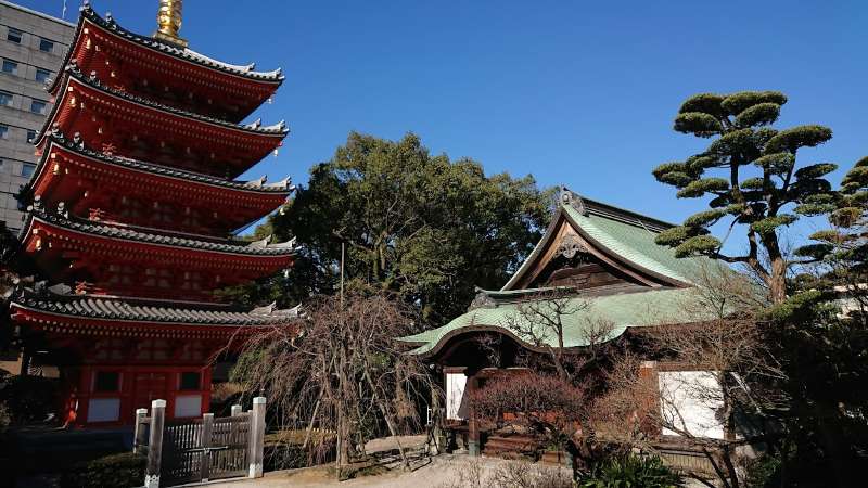 真言宗 東長寺 | 去趣 chicTrip