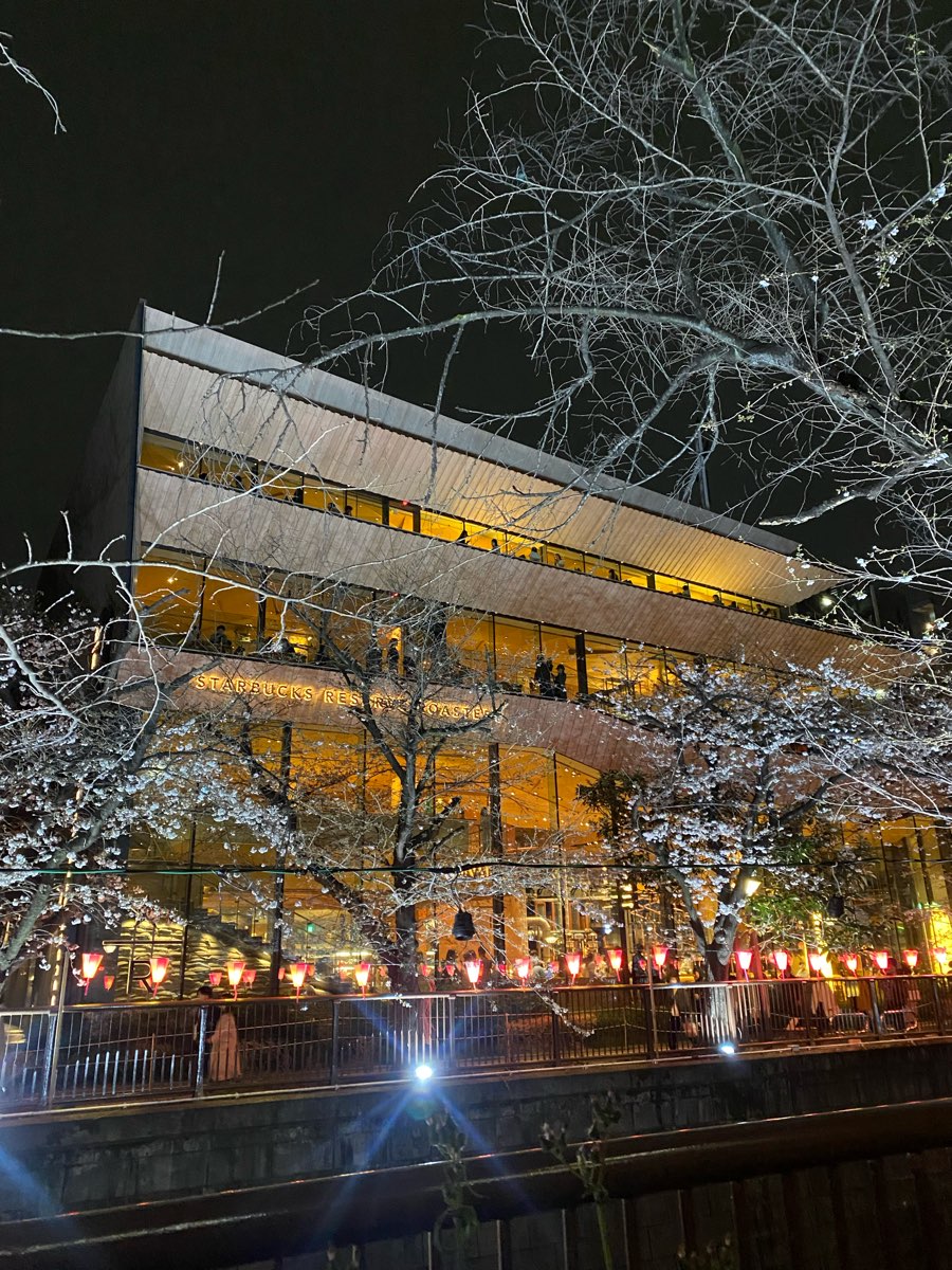 Sakura Bridge | 去趣 chicTrip
