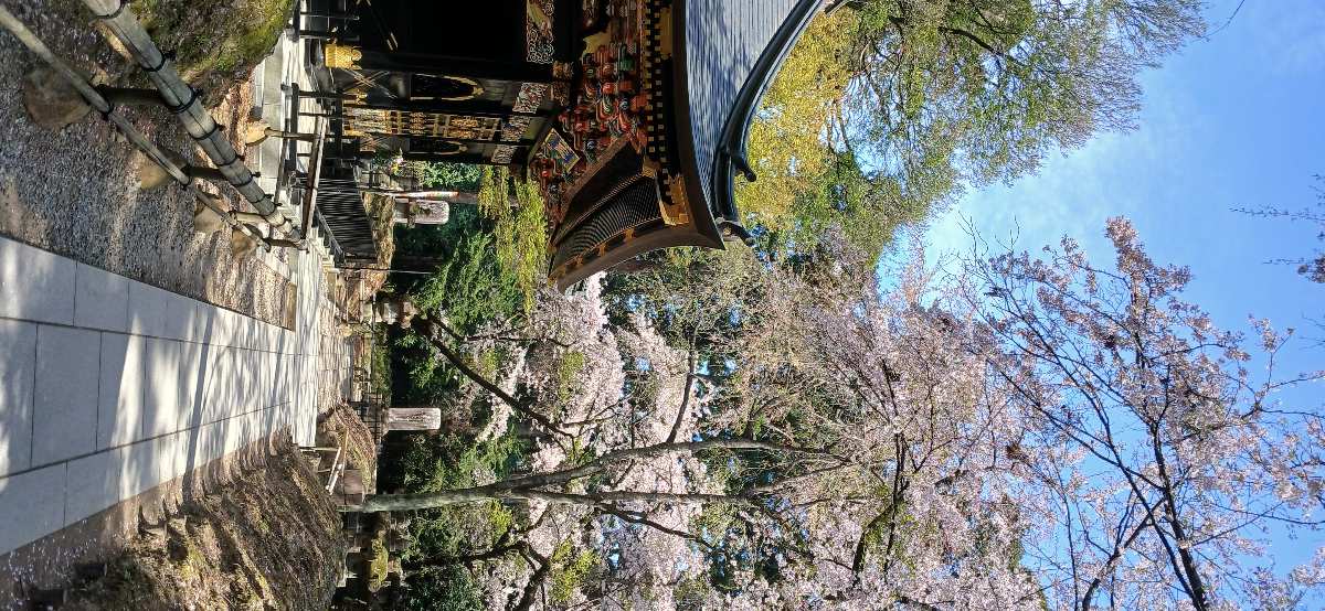 瑞鳳殿 | 去趣 chicTrip