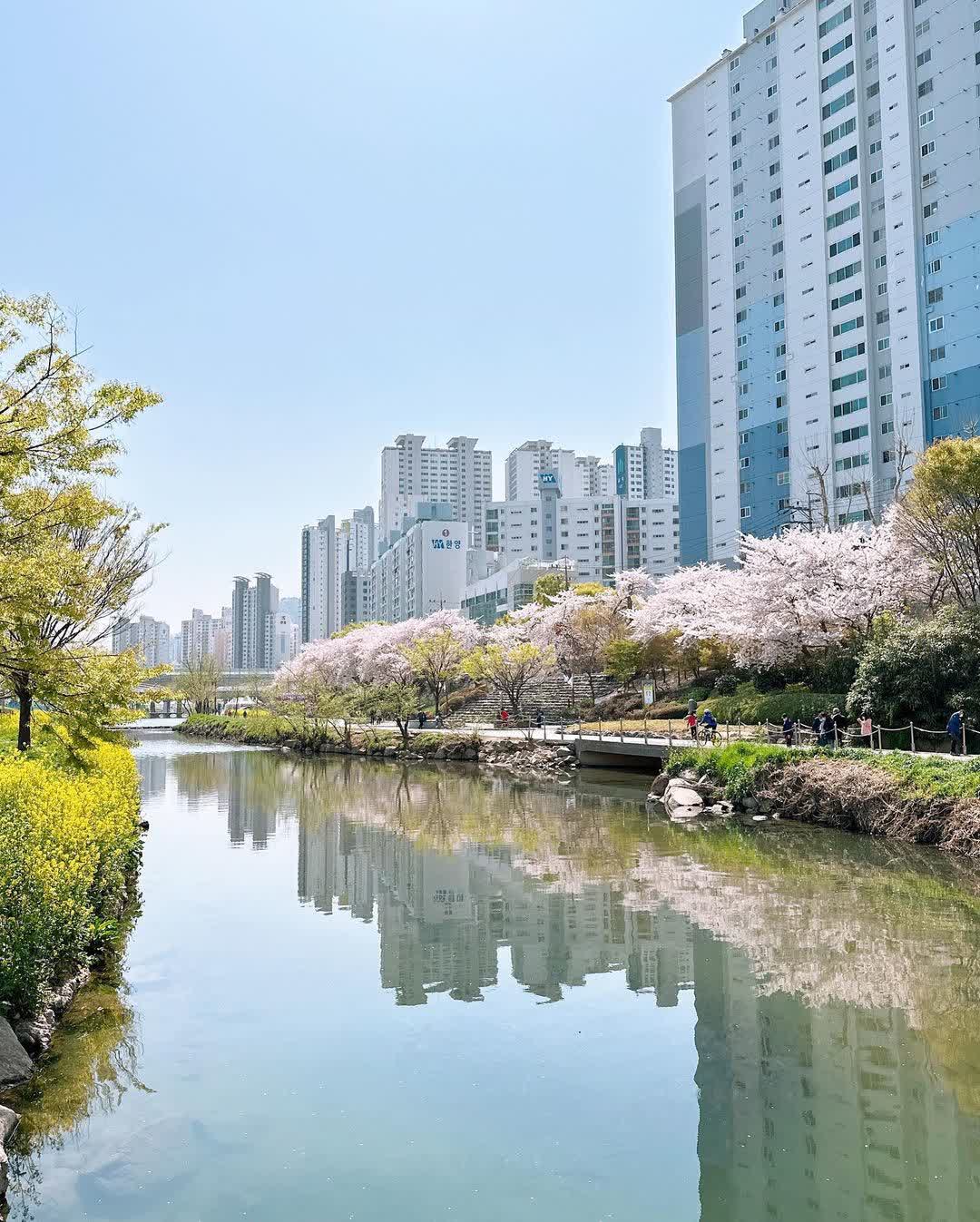 Oncheon-cheon | 去趣 chicTrip