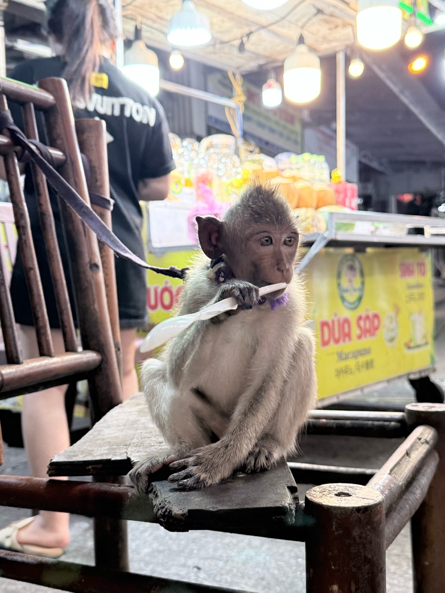 富國島夜市 (Phu Quoc Night Market) | 去趣 chicTrip