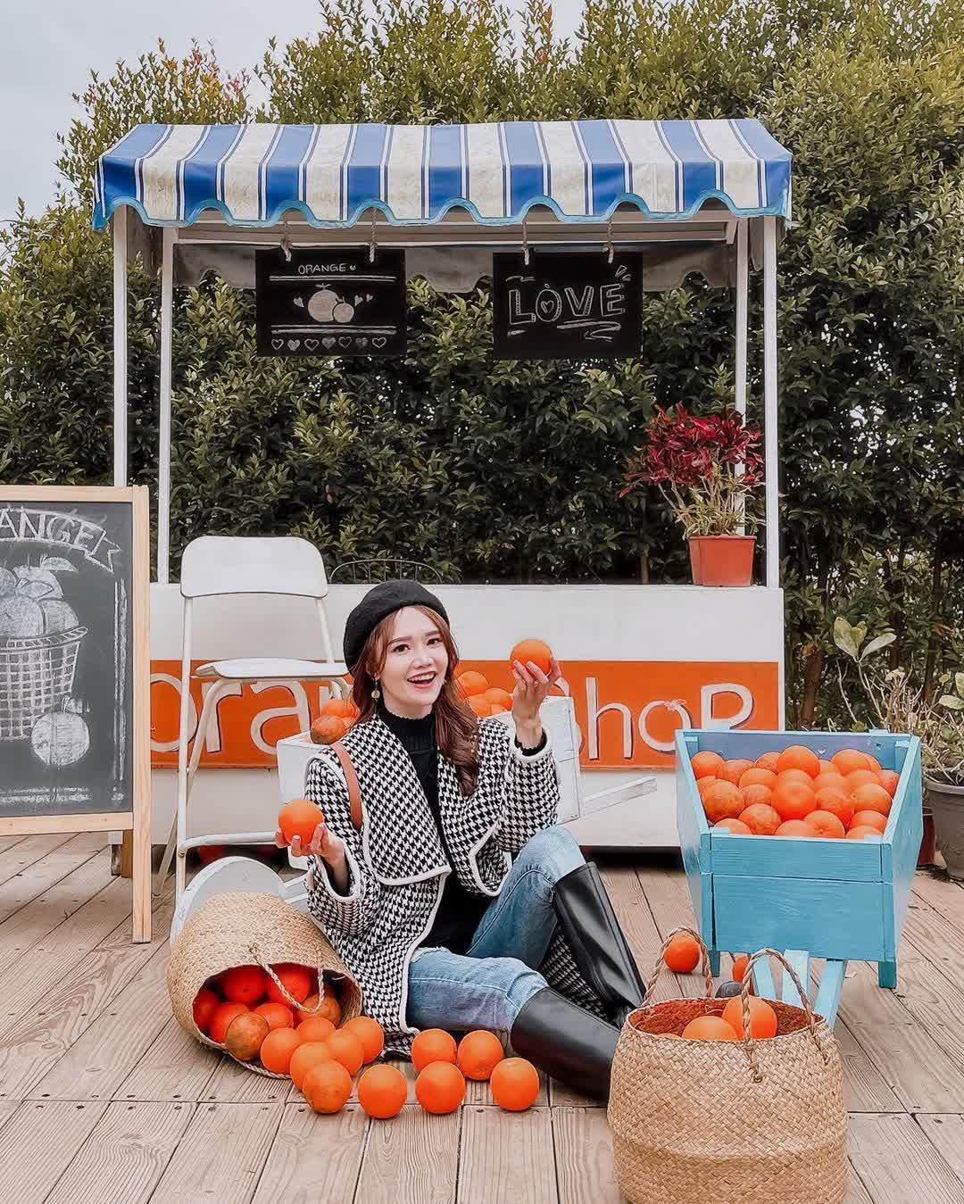 橙香森林 | 去趣 chicTrip