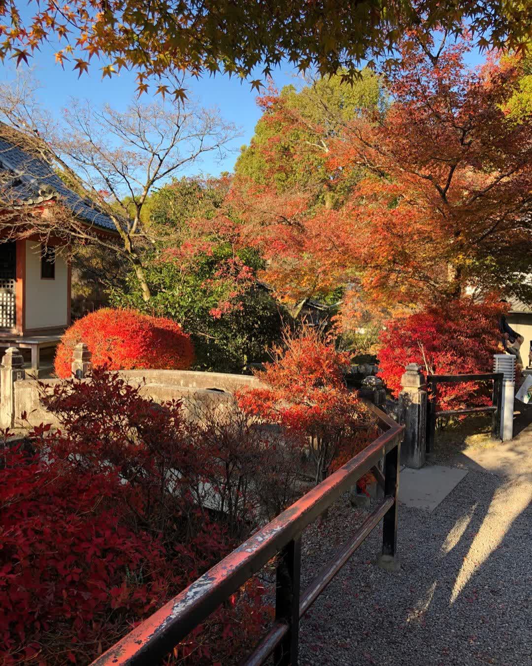 清水寺 | 去趣 chicTrip