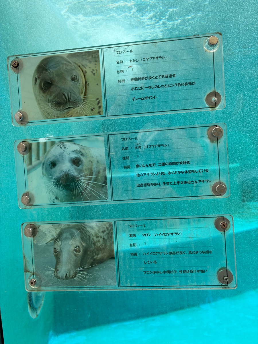 鳥羽水族館 | 去趣 chicTrip