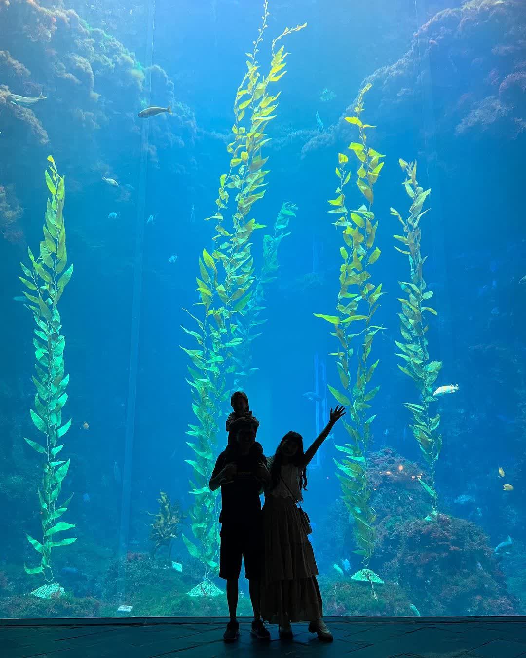 國立海洋生物博物館 | 去趣 chicTrip