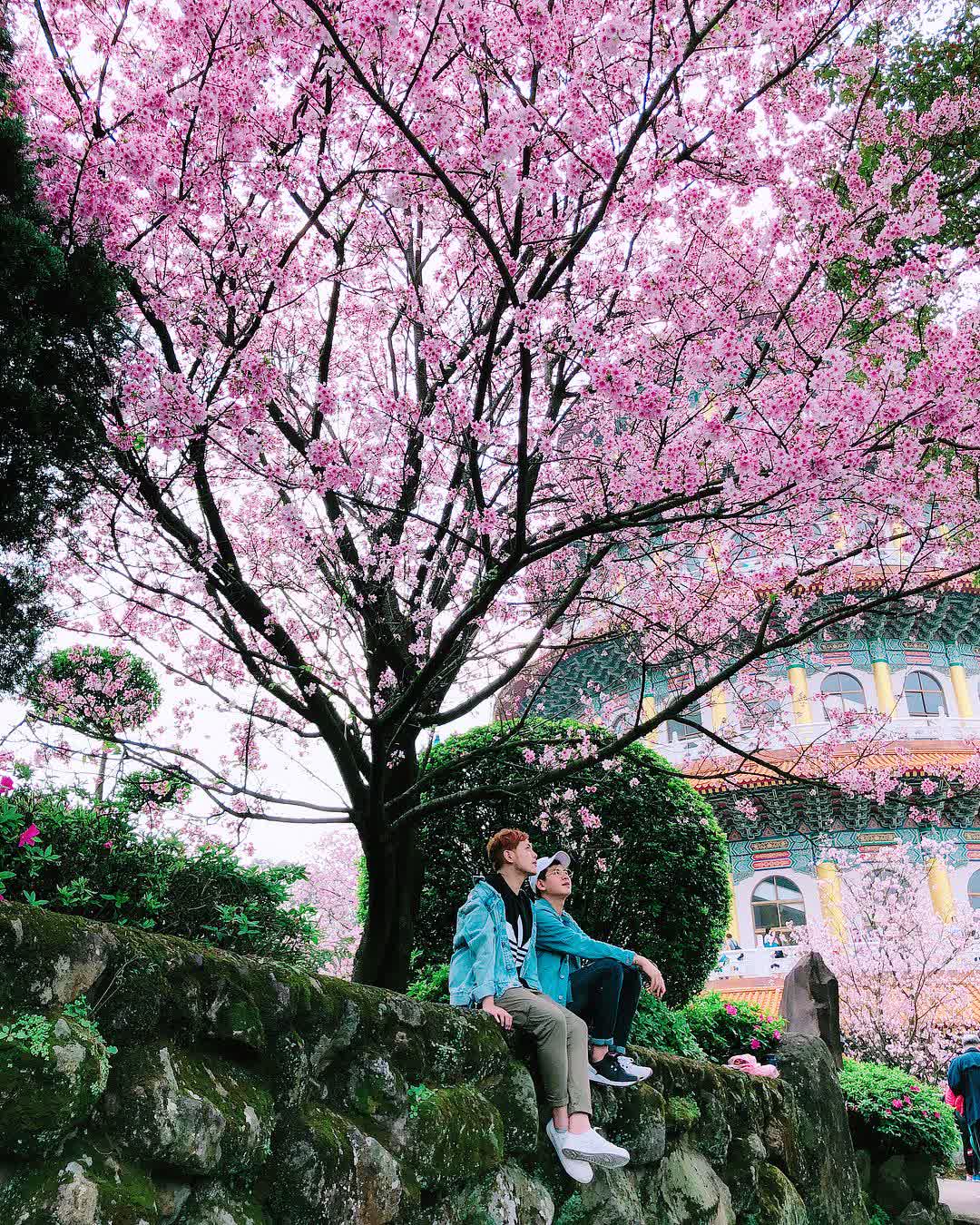 無極天元宮 | 去趣 chicTrip