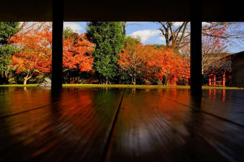 平等院庭園 | 去趣 chicTrip