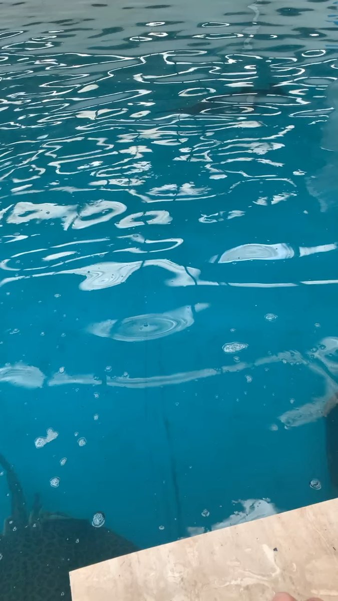 金車生技水產養殖研發中心 | 去趣 chicTrip