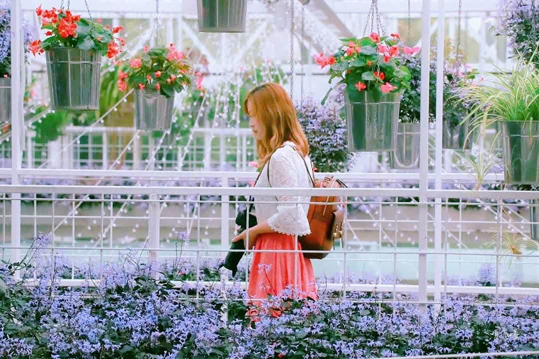 香草菲菲 芳香植物博物館 | 去趣 chicTrip