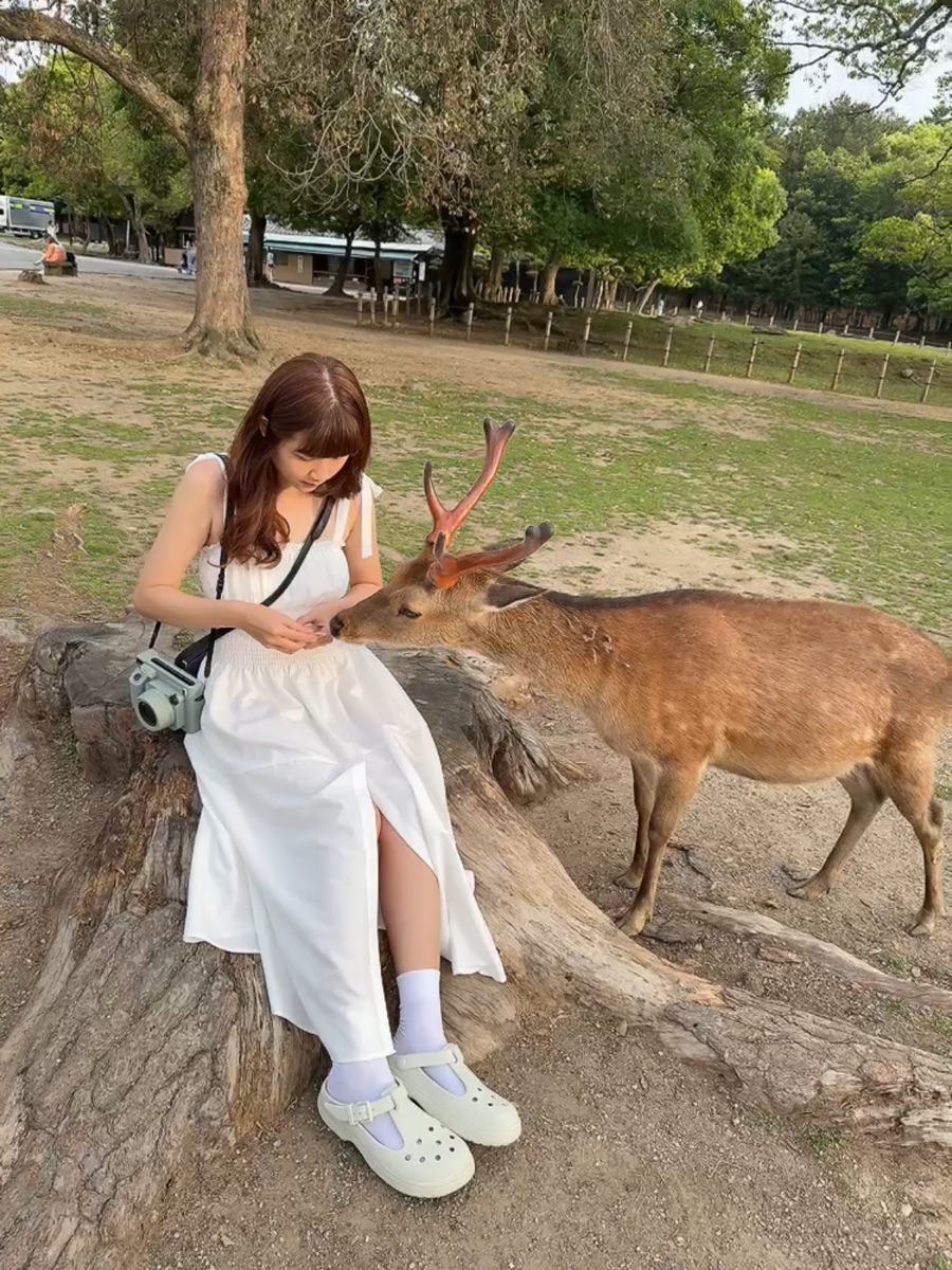 奈良公園 | 去趣 chicTrip