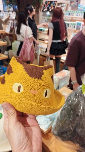 Donguri Kyowakoku | 去趣 chicTrip