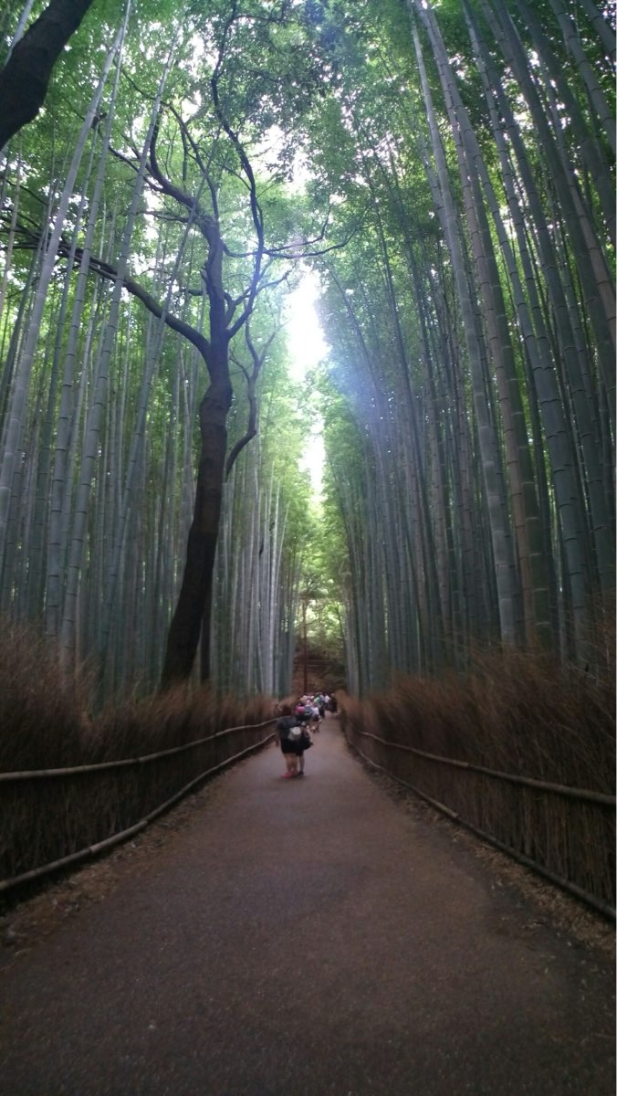 嵐山竹林小徑 | 去趣 chicTrip