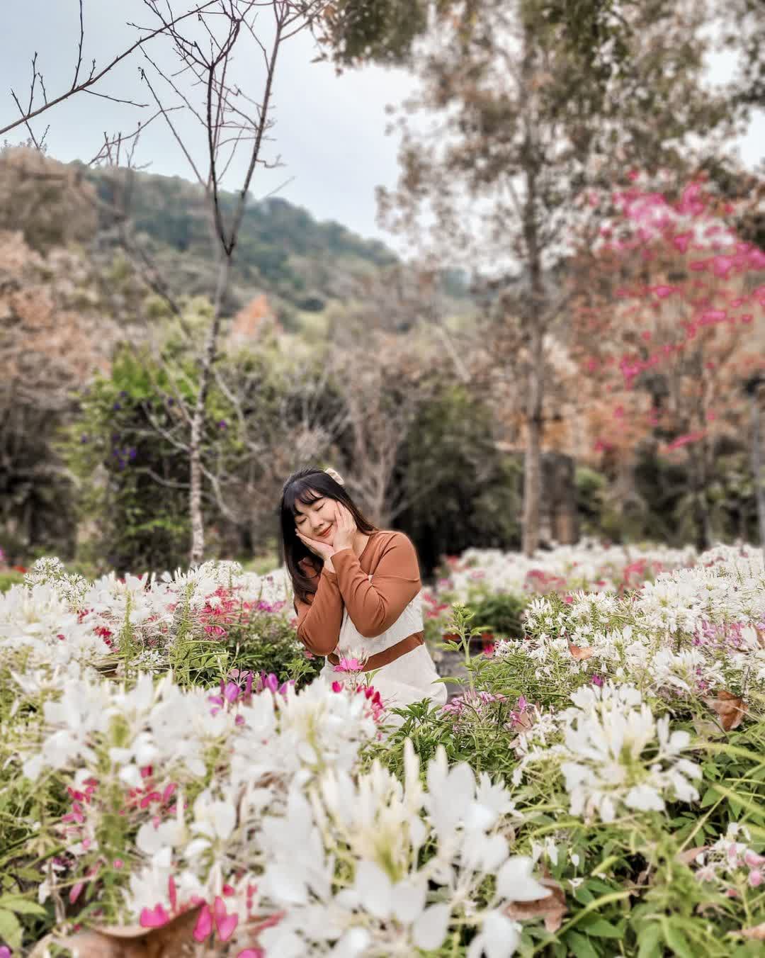 台一生態休閒農場(楓樺台一渡假村) | 去趣 chicTrip