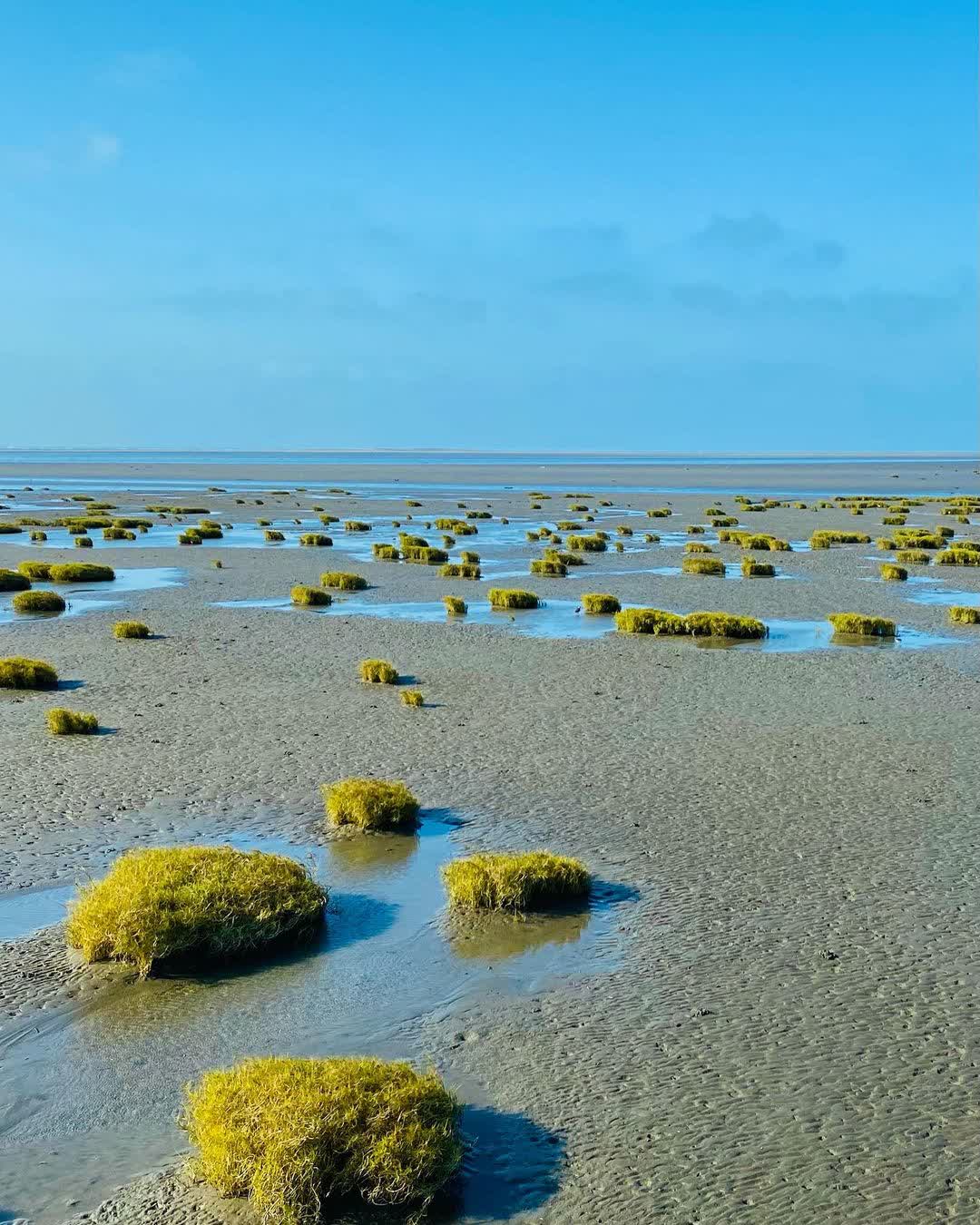 高美濕地 | 去趣 chicTrip