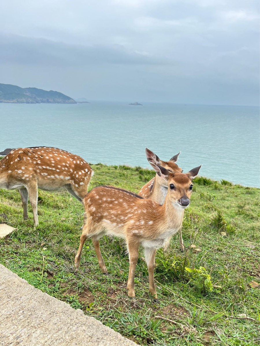 大坵島 | 去趣 chicTrip