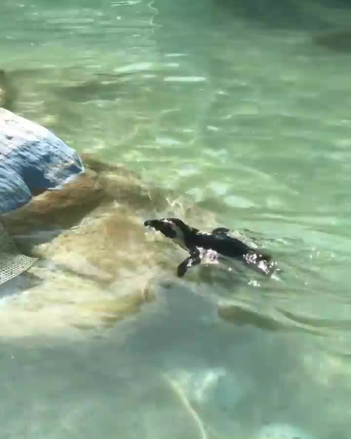 頑皮世界野生動物園 | 去趣 chicTrip