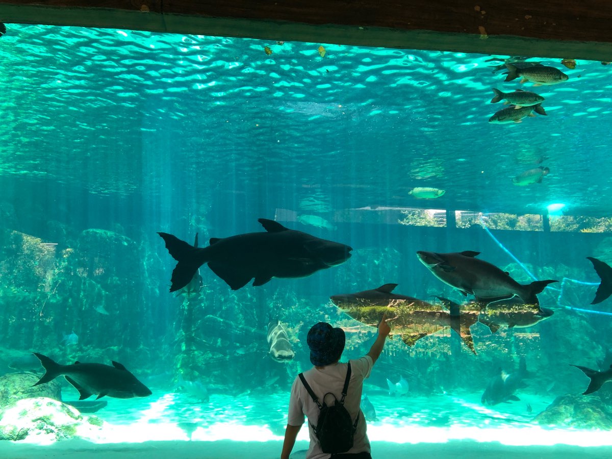 河川生態園 | 去趣 chicTrip