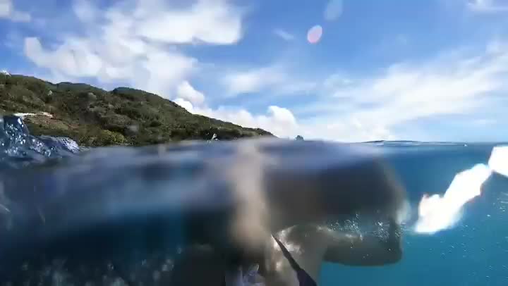 保和島 | 去趣 chicTrip