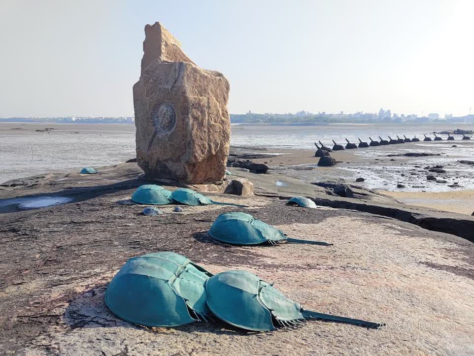 建功嶼 | 去趣 chicTrip