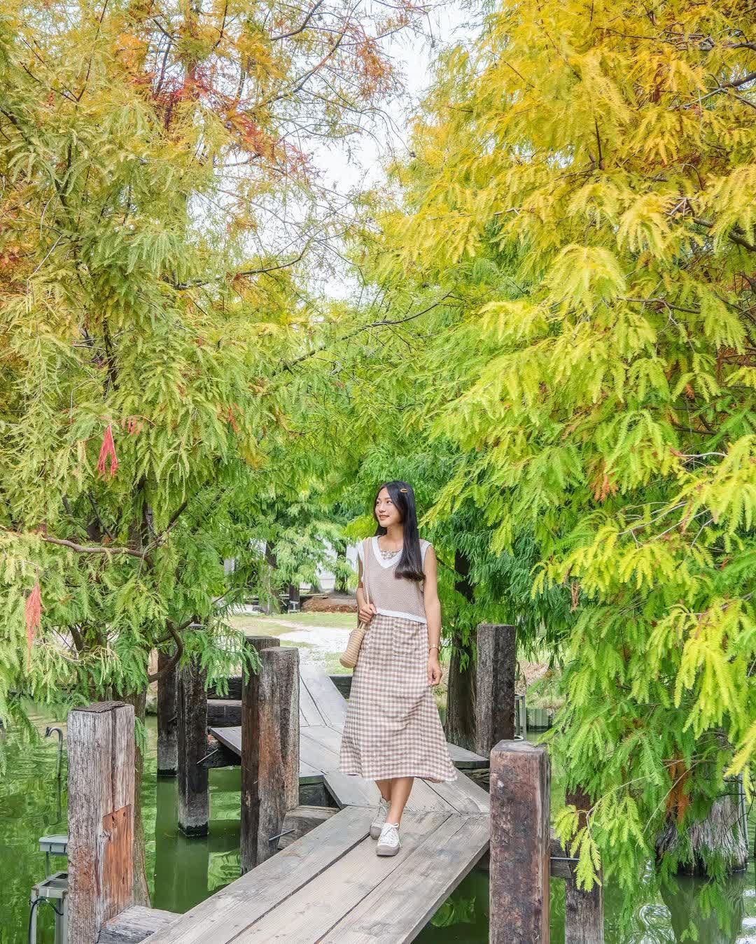 澄霖沉香味道森林館 | 去趣 chicTrip