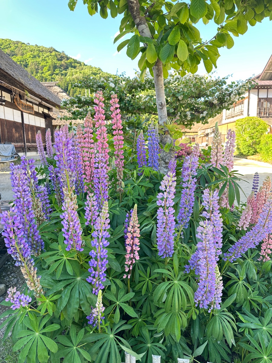 大內宿 | 去趣 chicTrip