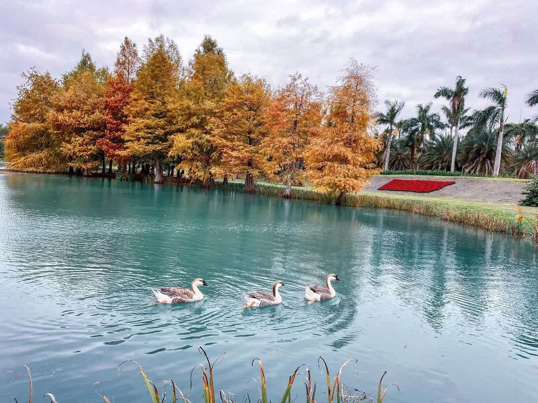 花蓮雲山水夢幻湖 | 去趣 chicTrip