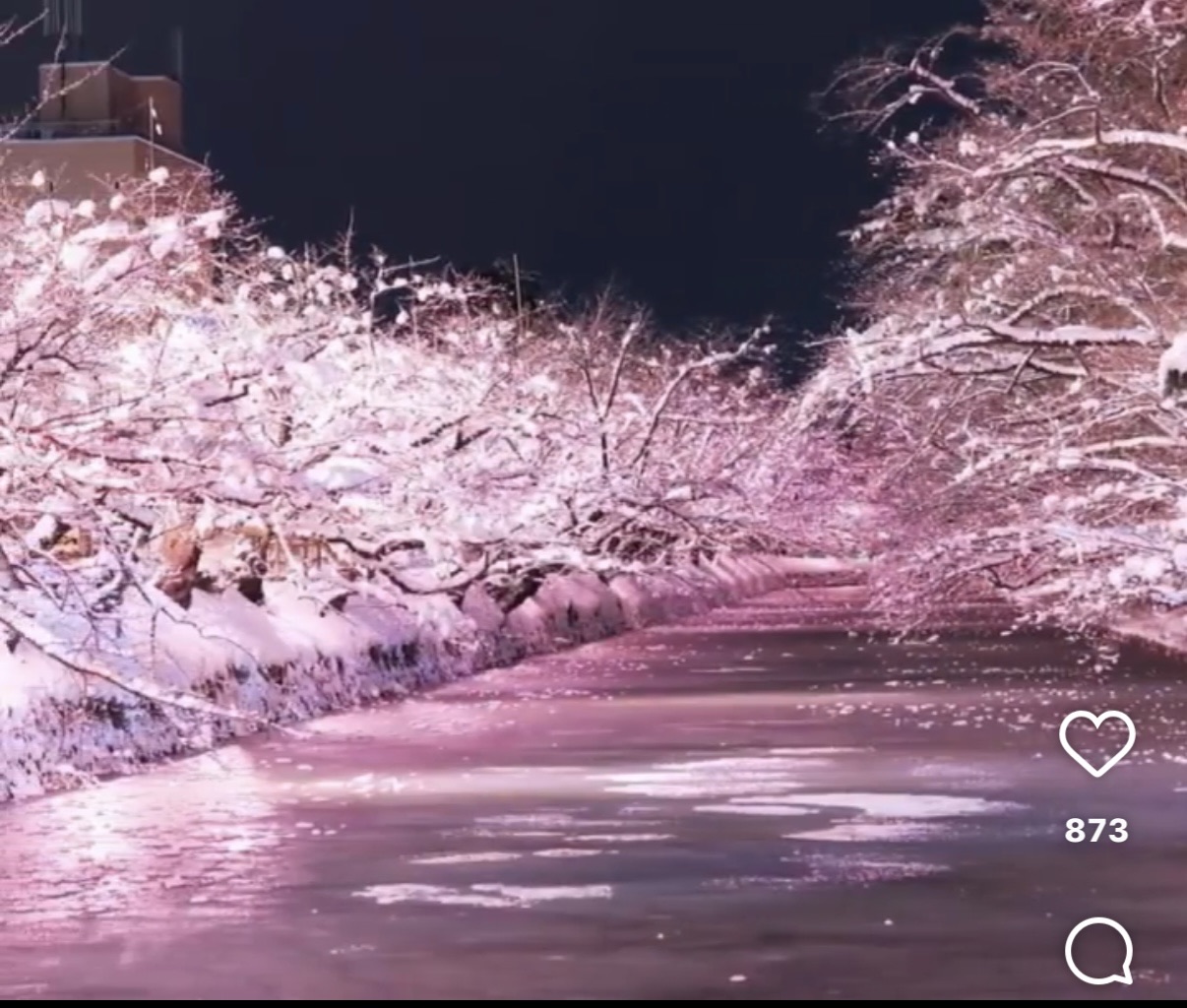 弘前城 | 去趣 chicTrip