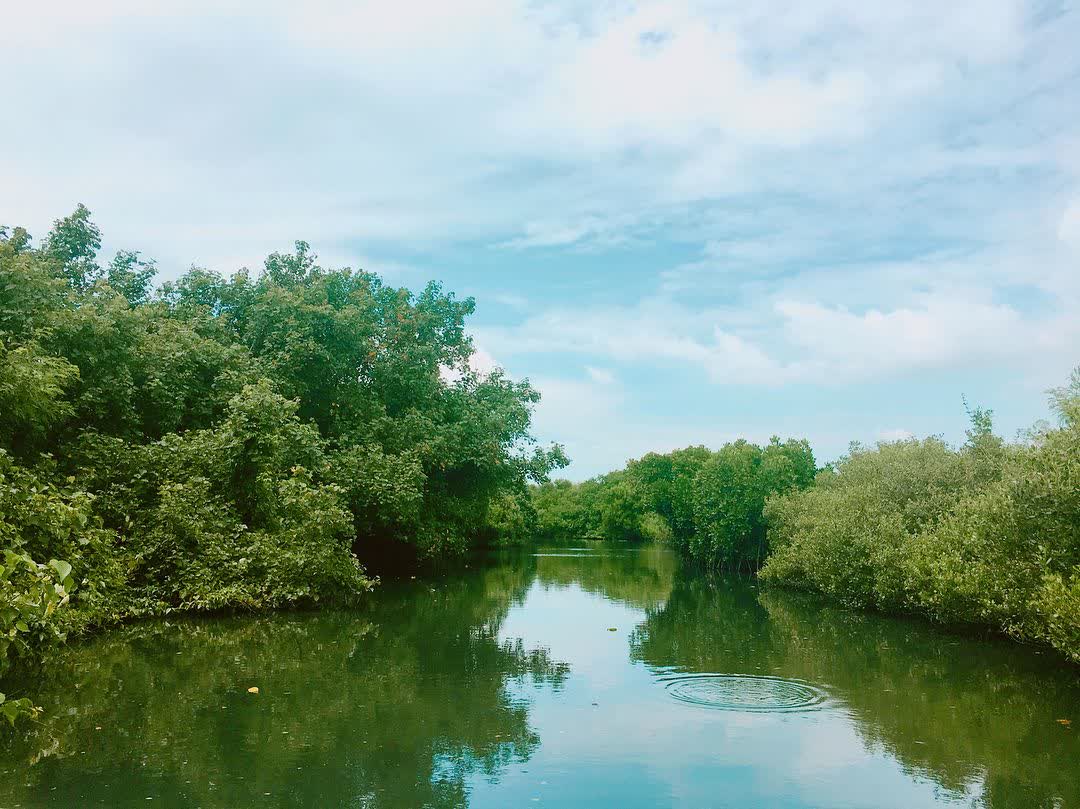 四草綠色隧道 | 去趣 chicTrip