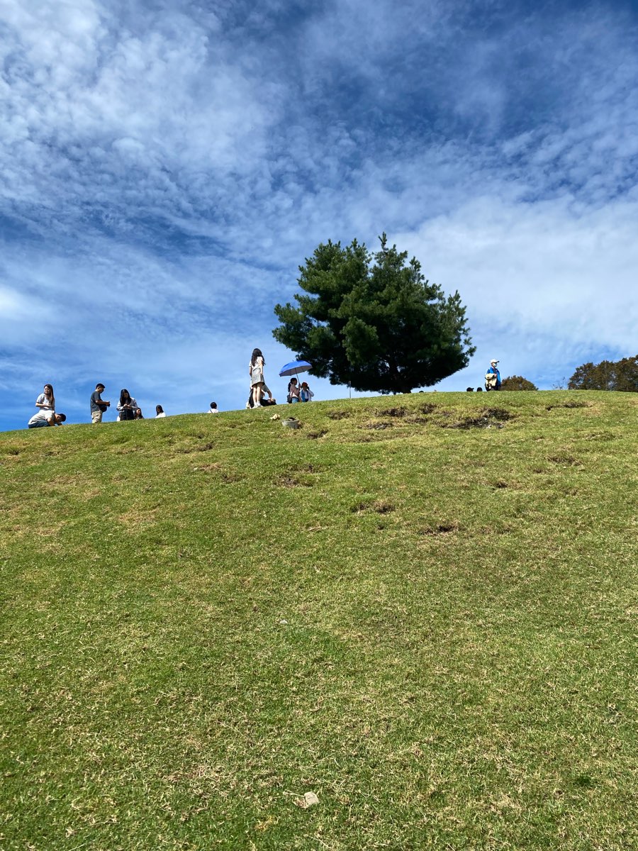 清境農場觀山牧區 | 去趣 chicTrip