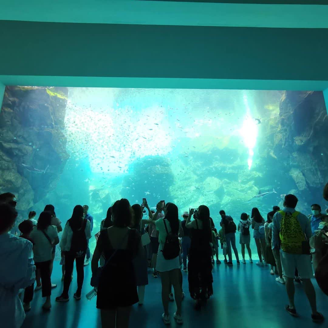 Xpark 水族館 | 去趣 chicTrip