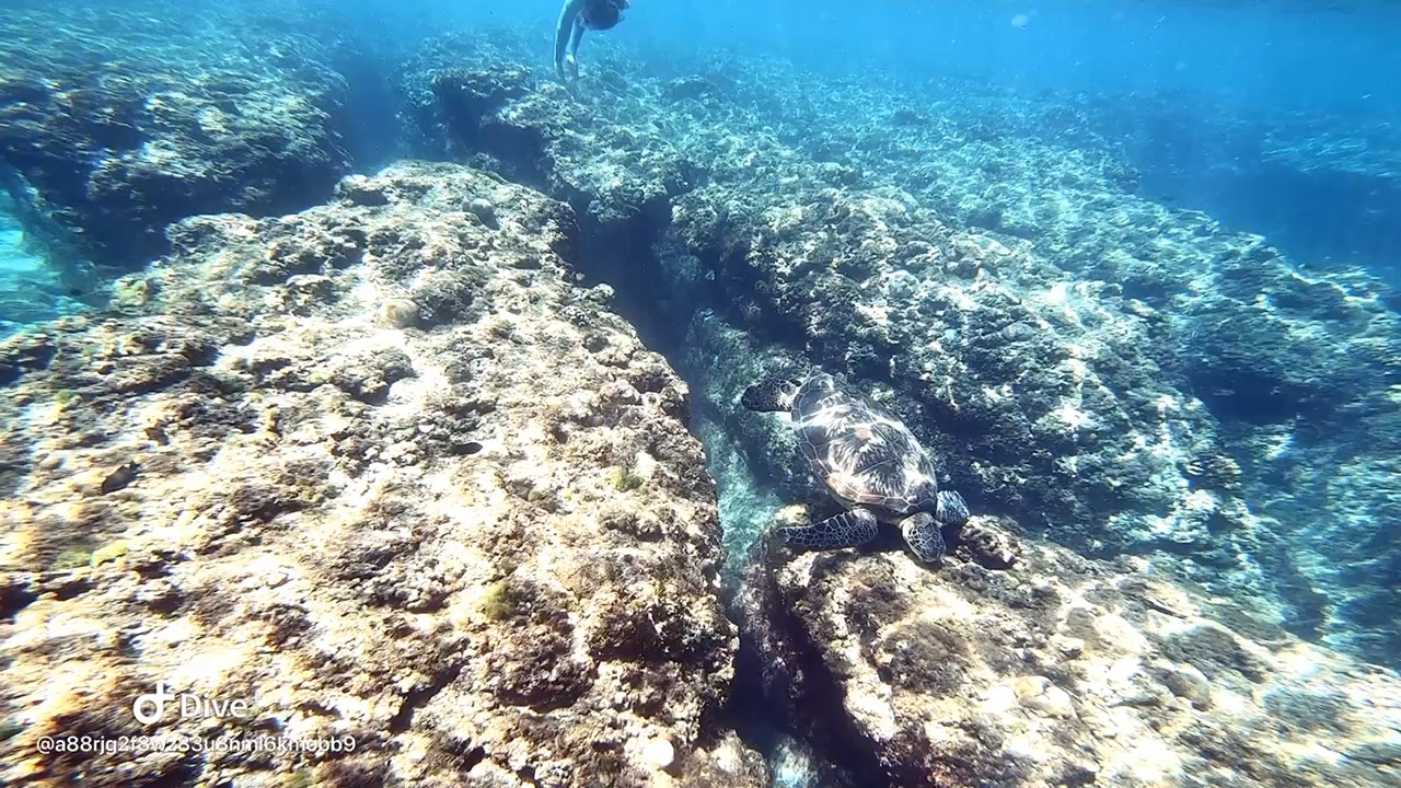 花瓶石 | 去趣 chicTrip