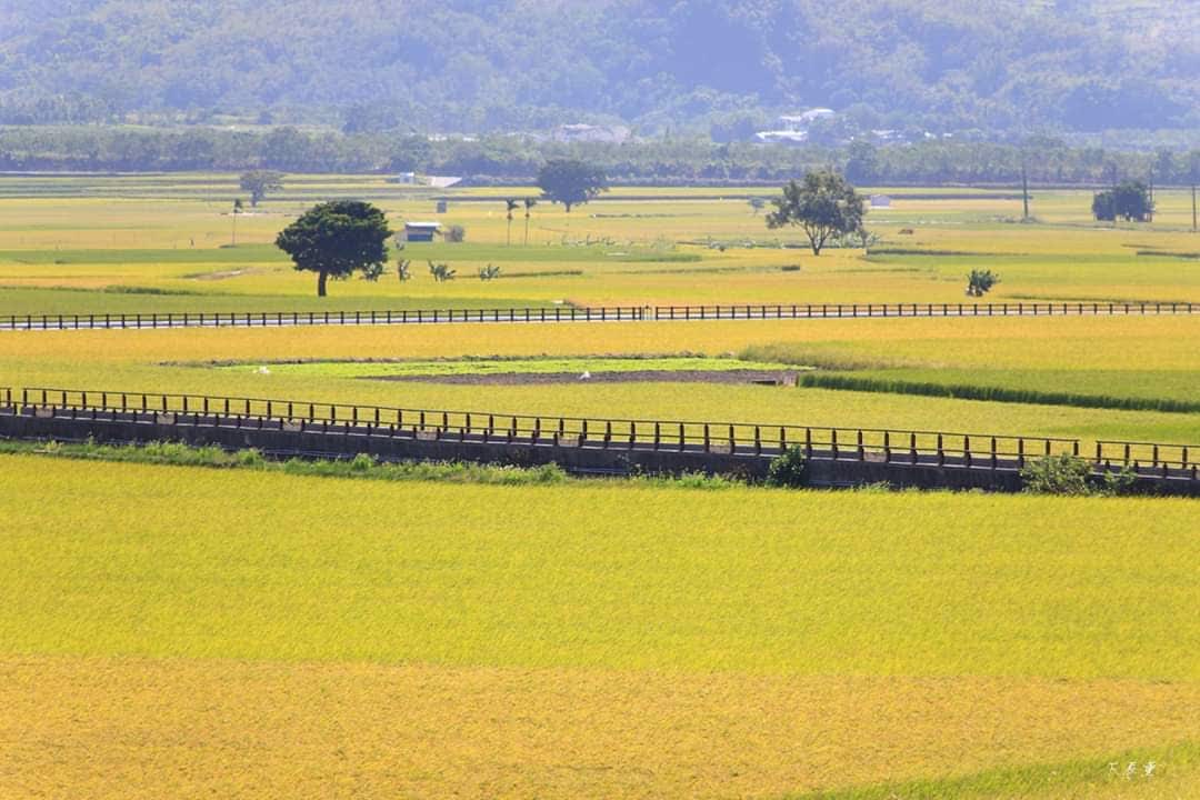 池上 | 去趣 chicTrip