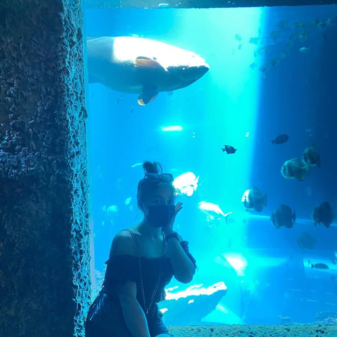 國立海洋生物博物館 | 去趣 chicTrip