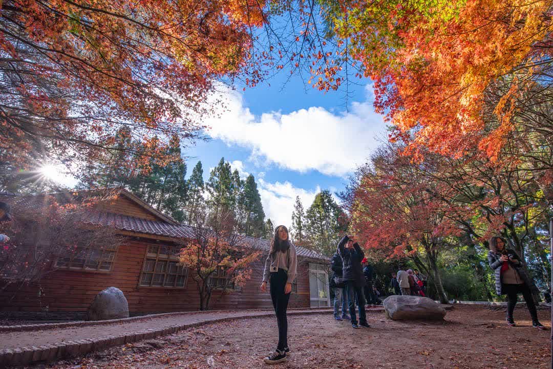福壽山農場 | 去趣 chicTrip