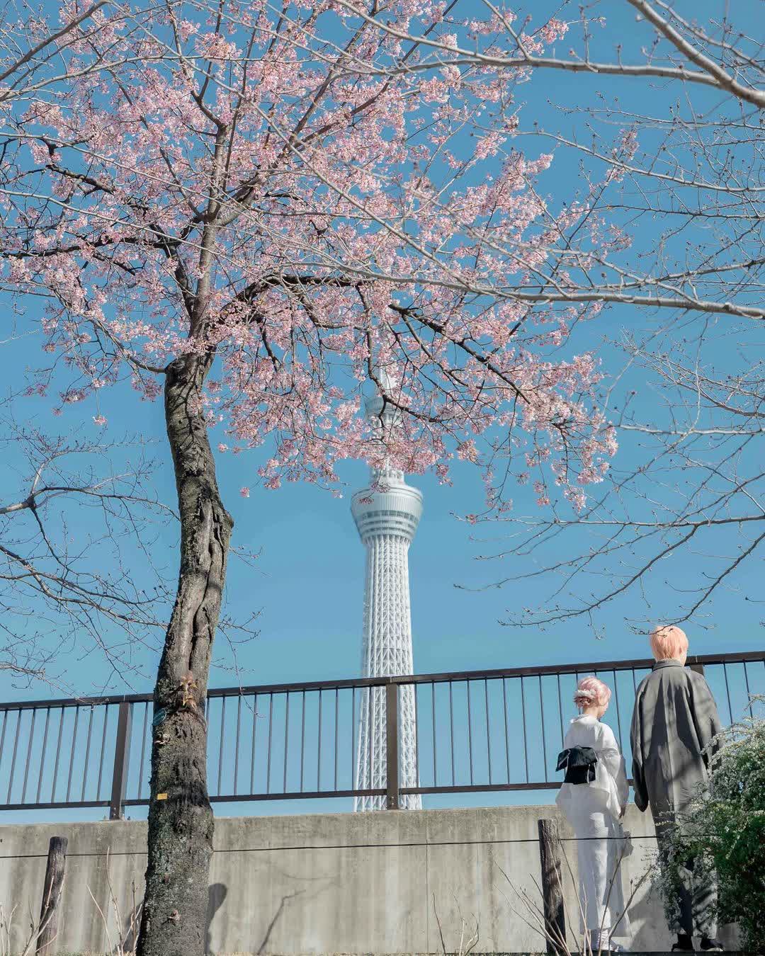 東京晴空塔 | 去趣 chicTrip