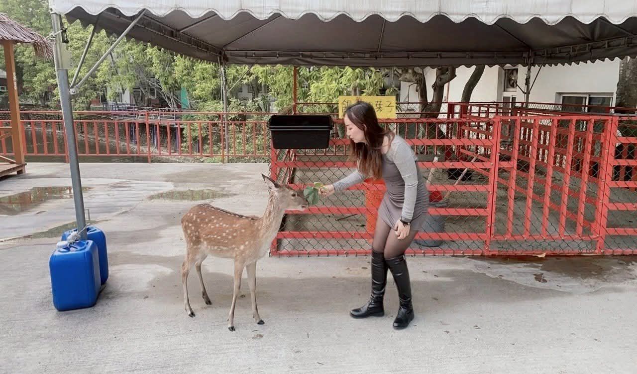 近水樓台湖畔森林咖啡 | 去趣 chicTrip