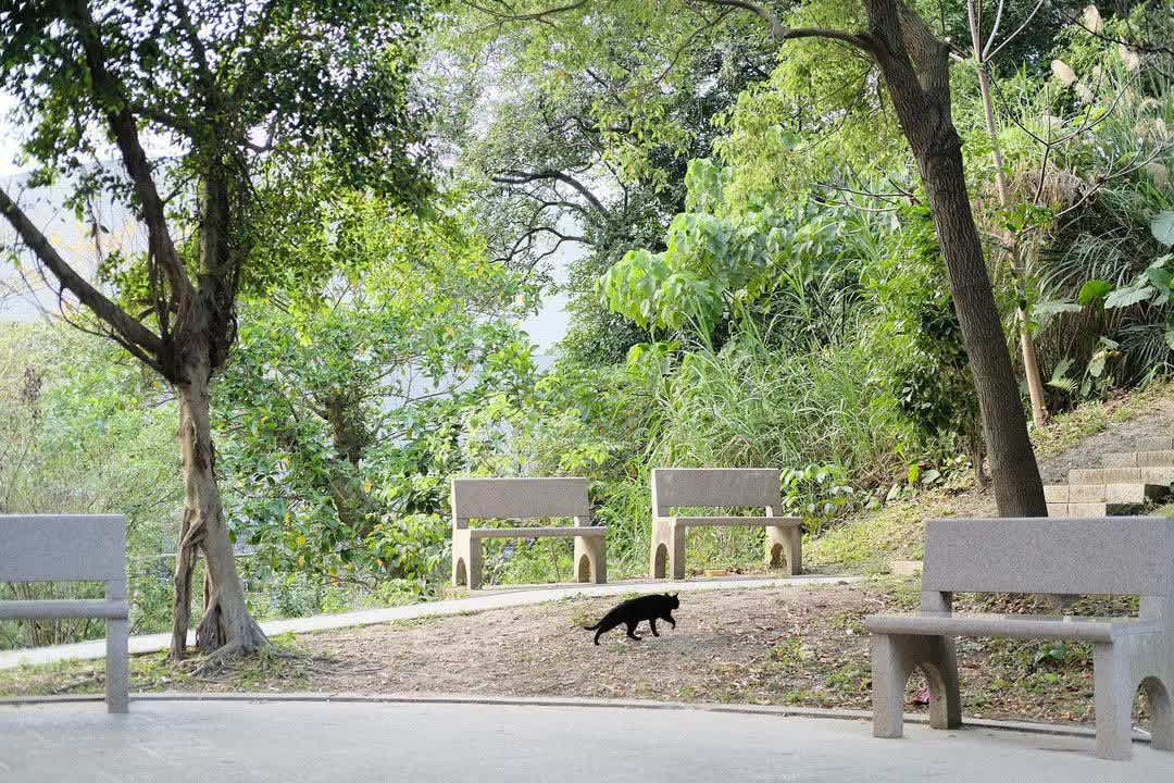 錦和運動公園 | 去趣 chicTrip