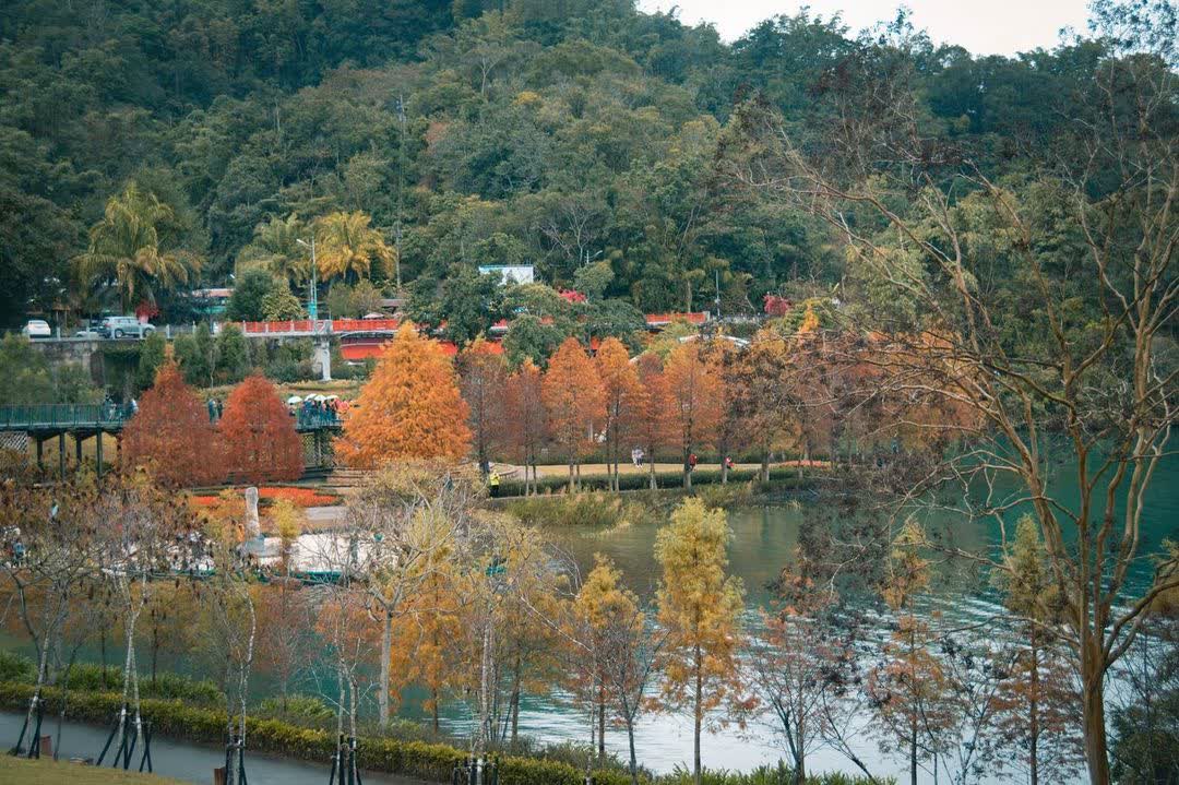 向山行政暨遊客中心 | 去趣 chicTrip