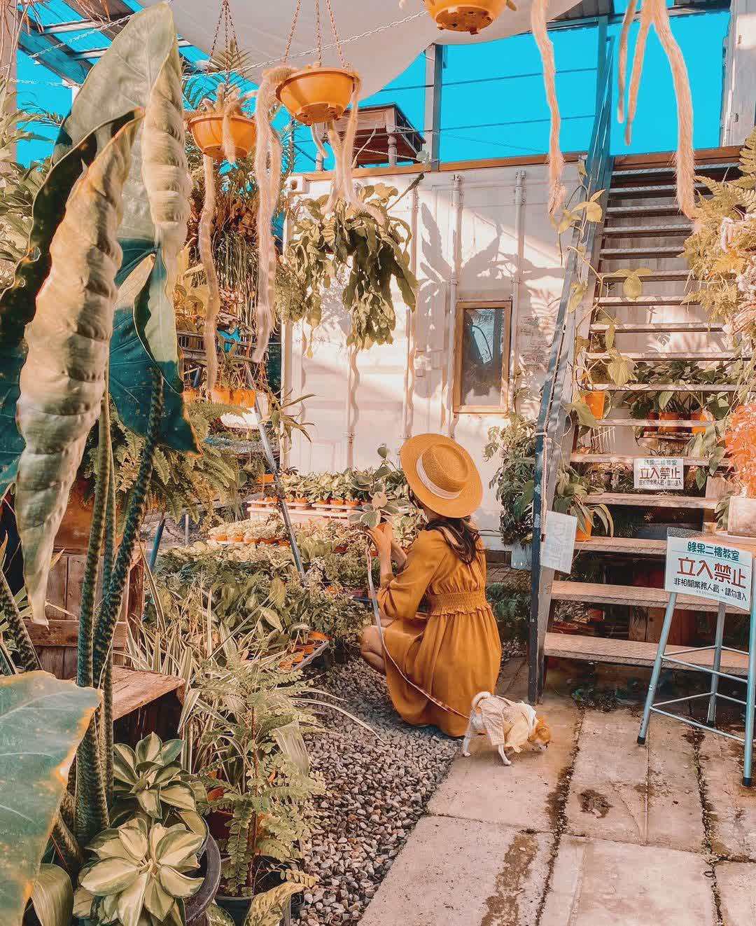 綠果庭院Green Life Garden | 去趣 chicTrip